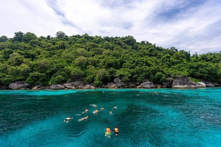 People snorkeling in clear green water near lush island